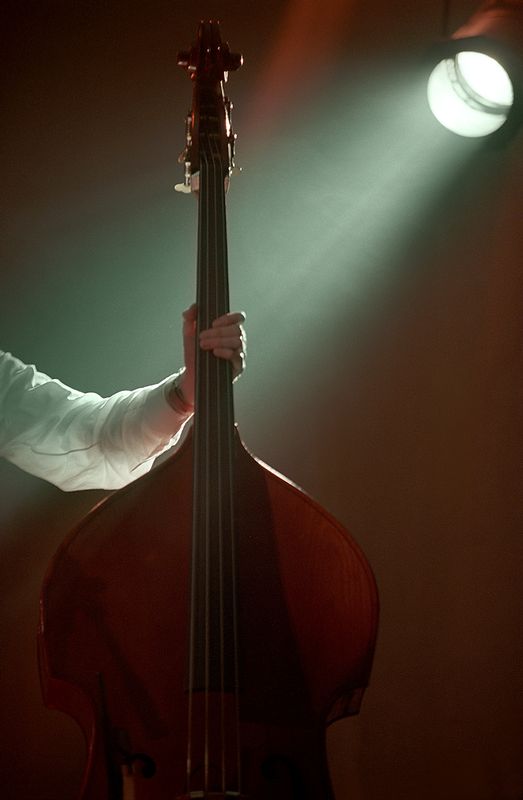 bass8.jpg