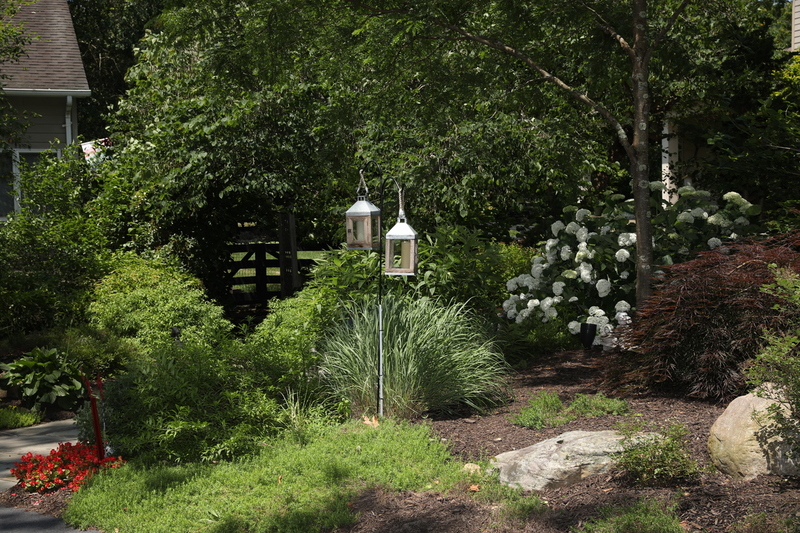 T008 0Z7A8744(1).jpg