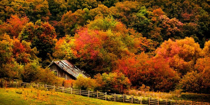 Along The Way.jpg :: Somewhere between here and the outer banks there is an old barn along a fence row - you can see it from the freeway - this is one of my 0 to 60 images taken from my car ( Joan was driving ) watch for it if you ever make the drive, it will make an appealing image no mater what the season.