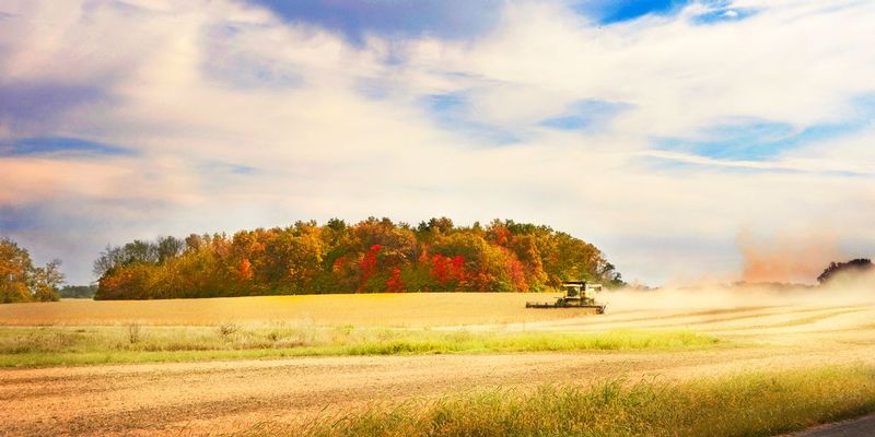 AutumnHarvest_.jpg :: Strategically placed fall foliage adds a touch of color to separate the blue sky and a golden harvest. I love to take the back roads \