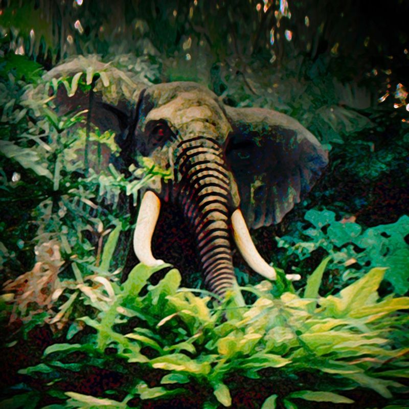 Elephant surprise.jpg :: How would you like to see this coming at you from the bush without notice - it did - and was a bit unnerving - but I guess you must expect that sort of thing on a raft ride through a Disney jungle.