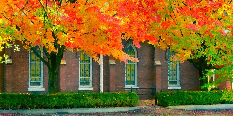 Heavenly Colors.jpg :: Why do we even try to compete with natures Heavenly colors.