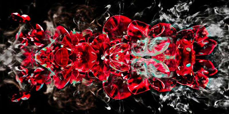 Red on Black.jpg :: A splash of red on a black background.