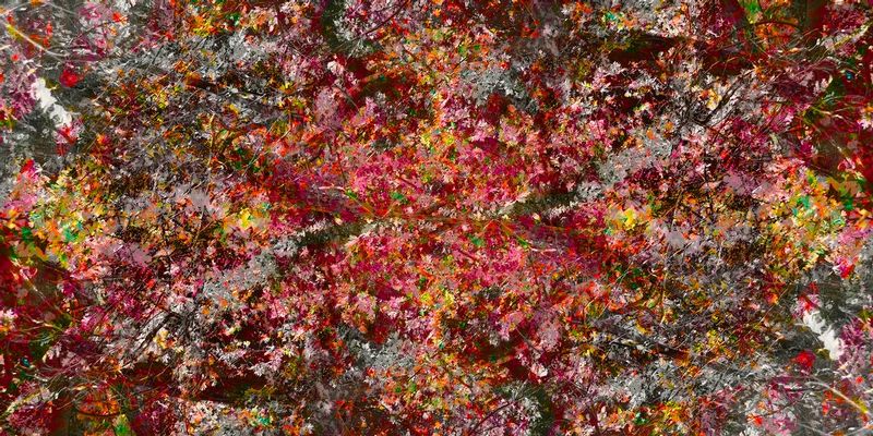 WinterSpringSummerFall.jpg :: A tree in the memory of four seasons.