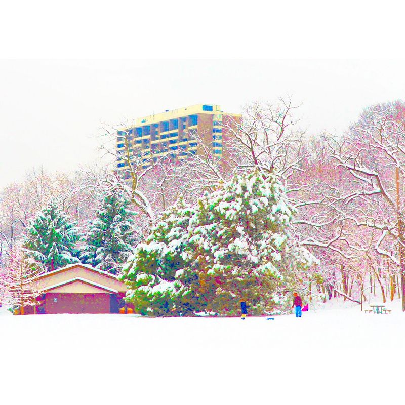 Wyman Woods.jpg :: A winter look at the Grandview park as it use to look - it has gotten a facelift with a new shelter house and updated playground - they need to open the sledding hill this year.