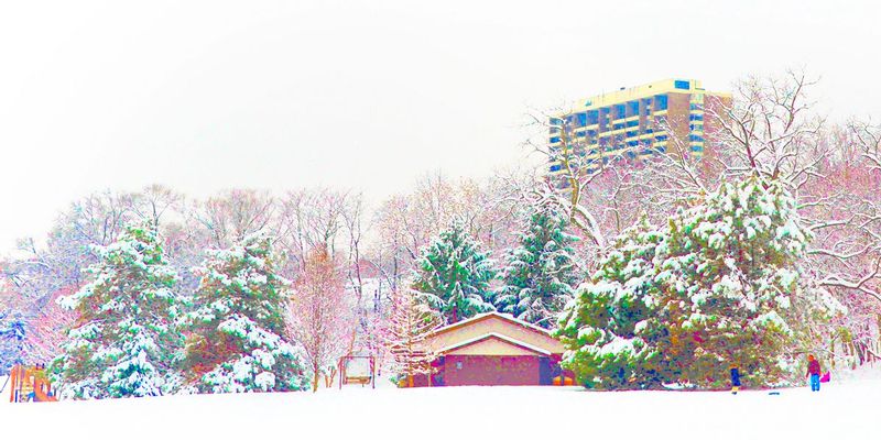 WymanWoods.jpg :: A winter look at the Grandview park as it use to look - it has gotten a facelift with a new shelter house and updated playground - they need to open the sledding hill this year.