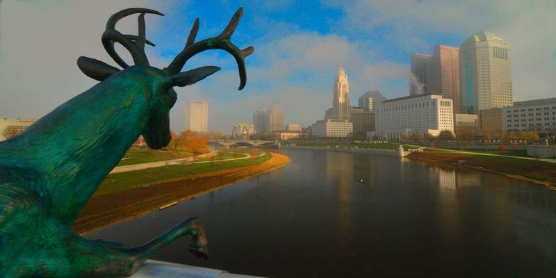StagTown.jpg :: An early foggy morning - a lone stag watches a single canoe work its way upstream toward the city of Columbus.