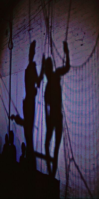 TheFlyingTrapeze.jpg :: Watching the shadows on the arena walls created by the bright spotlights was just as interesting as the audacious athletes in the air.