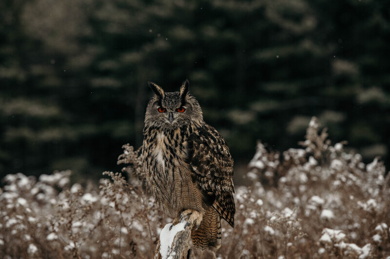 Untitled-137(1).jpg