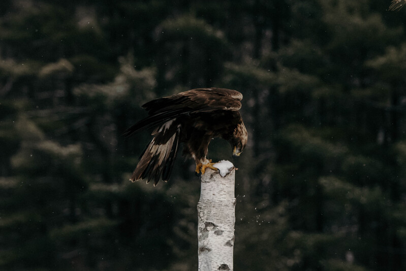 Untitled-200(1).jpg