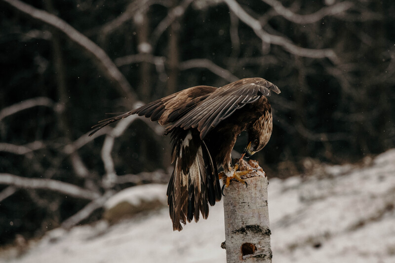 Untitled-235(1).jpg