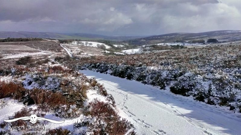 Dunkery--WInter-Snow.jpg