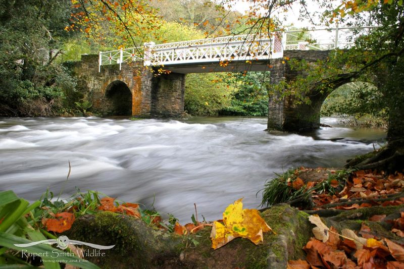 Marsh-Bridge-.jpg