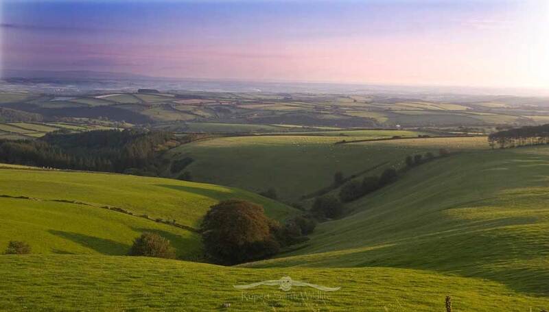 View-From-Exmoor-to-Dartmoor.jpg