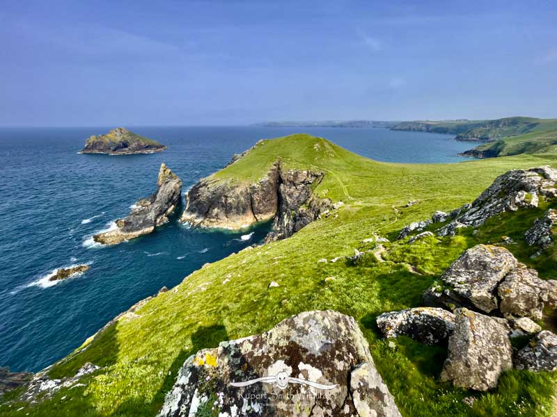 the-rumps-point-polzeath-IMG_6762.jpg