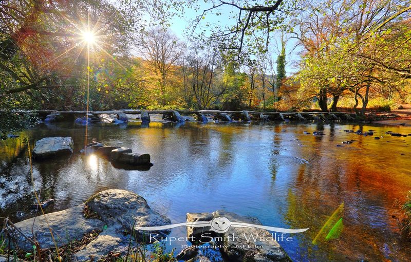 Tarr Steps-Autumn.jpg