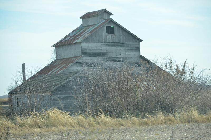 DSC_8528(1).jpg