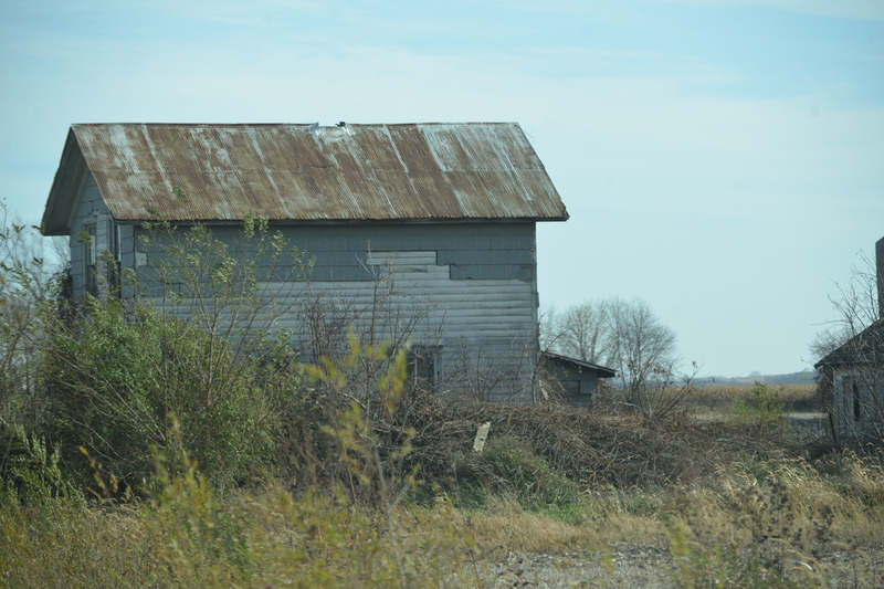DSC_8529(1).jpg