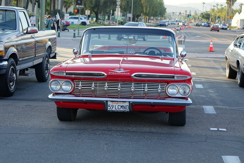 DSC01100.jpg