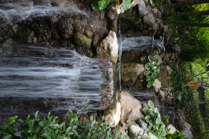 DSCF0906.jpg