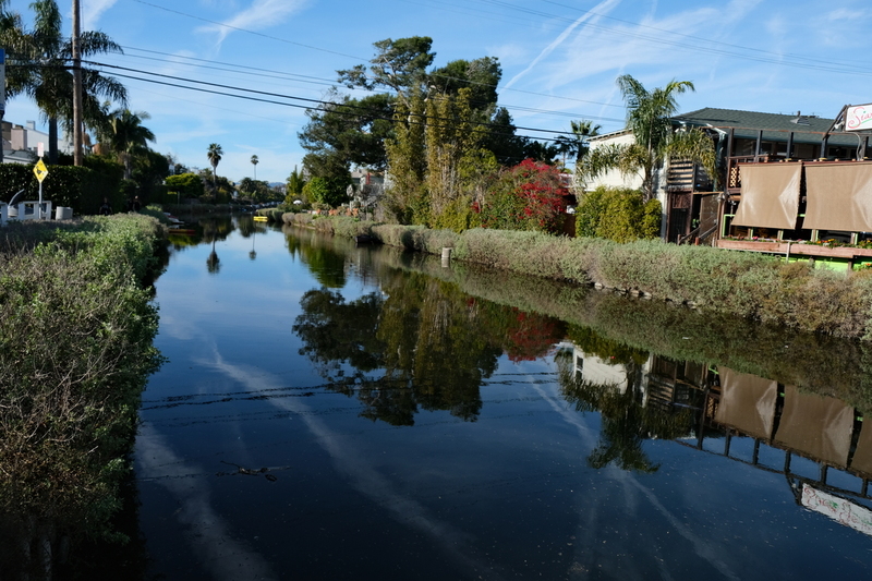DSCF2437.jpg