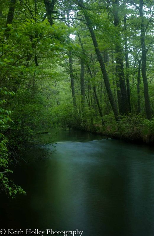 Connetquot River.jpg