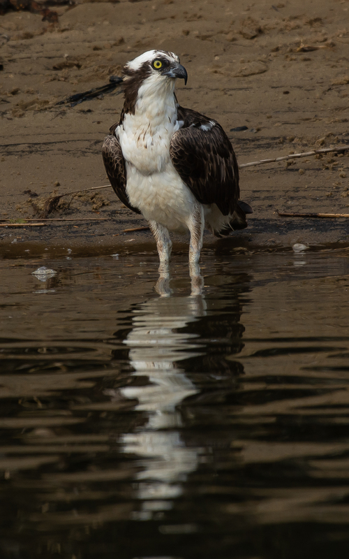 bathtime-1.jpg