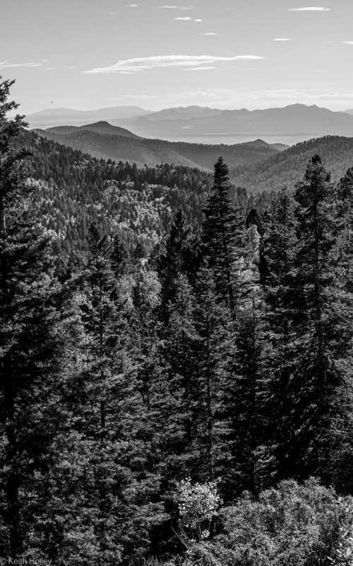grand vista-1.jpg