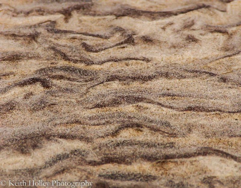 sand1.jpg