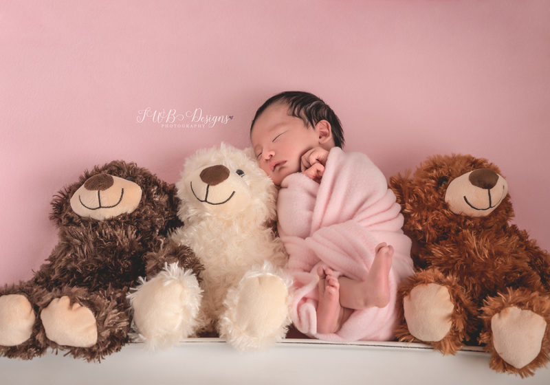 DSC_1575-Edit-2web.jpg
