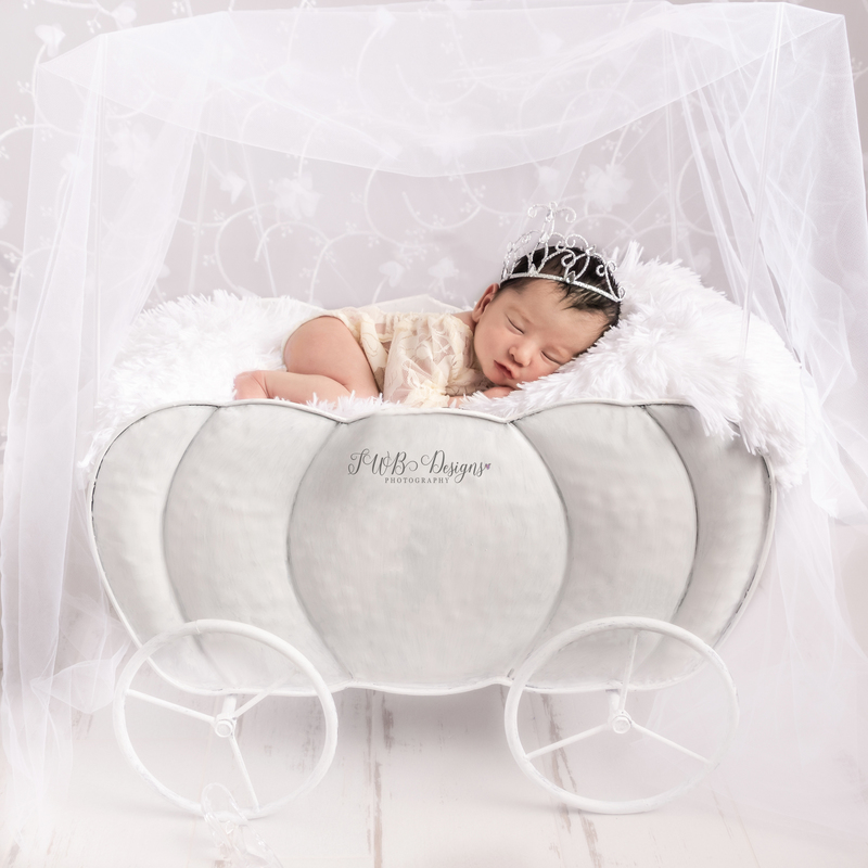 DSC_1654-Editweb.jpg