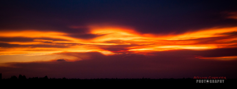 the fire Sunset-11(1).jpg