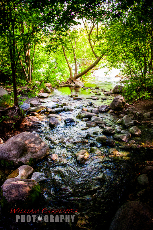 untitled shoot-005-2(1).jpg