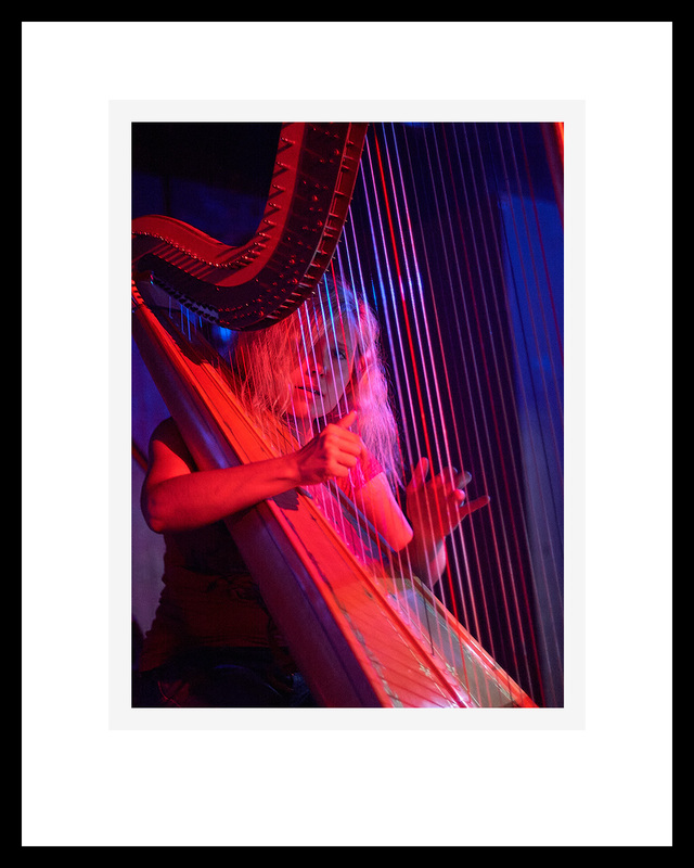 015 Harptallica.jpg