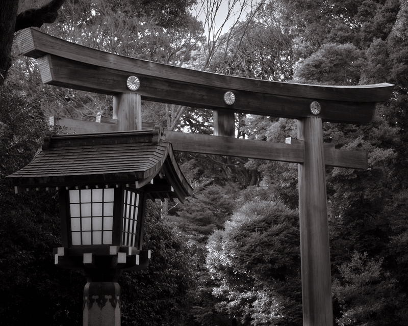 03 - Torii Gate - Meiji Jingu - Japan.jpg