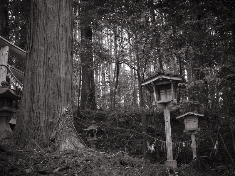 04 - Shinto Shrine Architecture Detail 14 - Japan.jpg