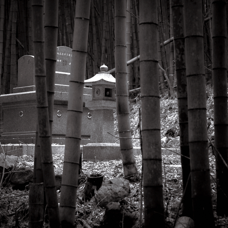 06 - Family Plot 01 - Japan.jpg