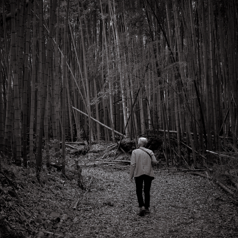 07 - Walking in the Path of the Master 1 - Japan.jpg