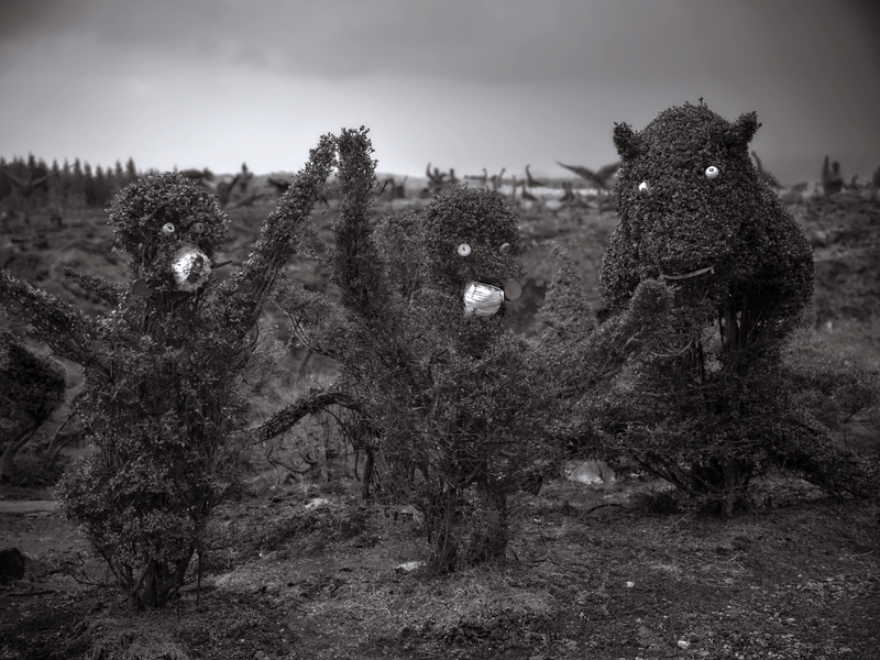 10 - Animals - Bizarro Topiary Garden 02 - Japan.jpg