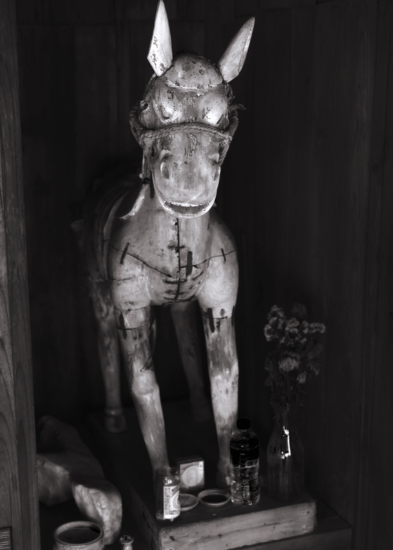 10 - Animals - Buddhas White Horse - Buddhist Temple - Japan.jpg