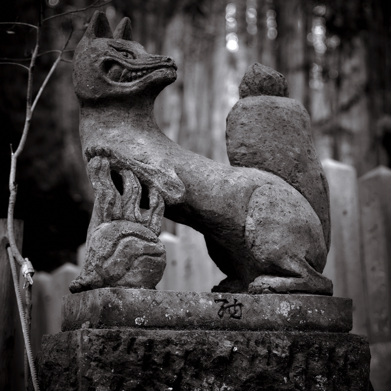 10 - Animals - Fox Guardian - Japan.jpg