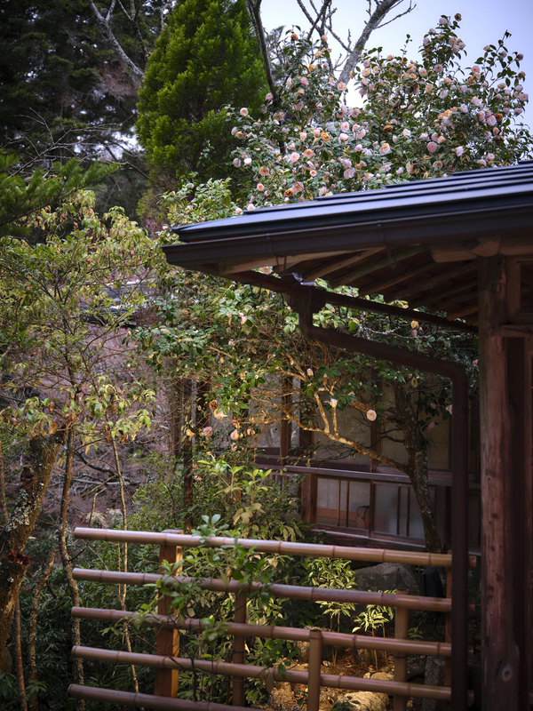 11 - Private Residence 02 - Japan.jpg