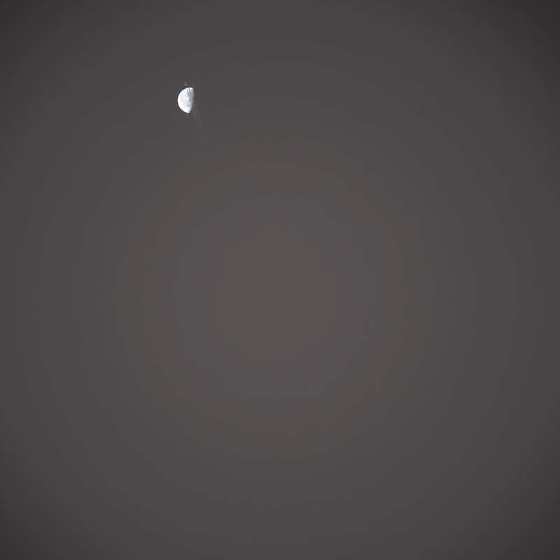 DSCF8419.jpg