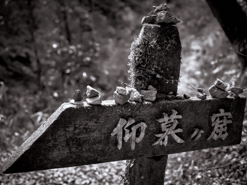 DSCF8522.jpg