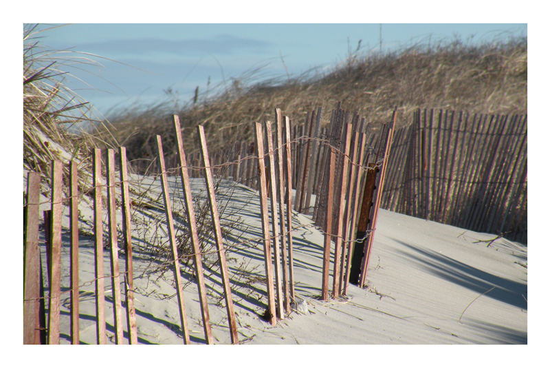 Beach Path.jpg