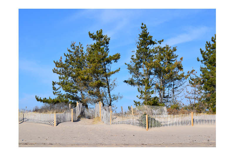 East Beach.jpg