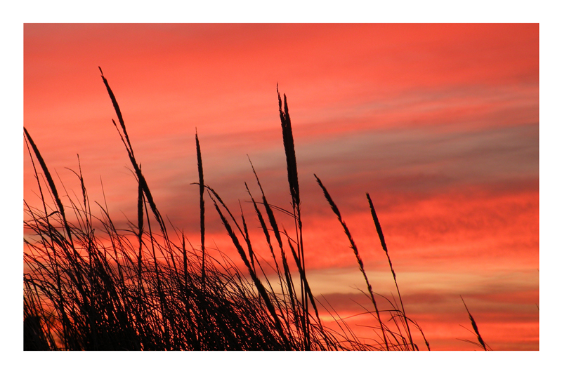 November Sunrise.jpg