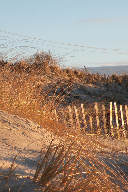RF6240v.jpg :: Sunrise on the Dunes