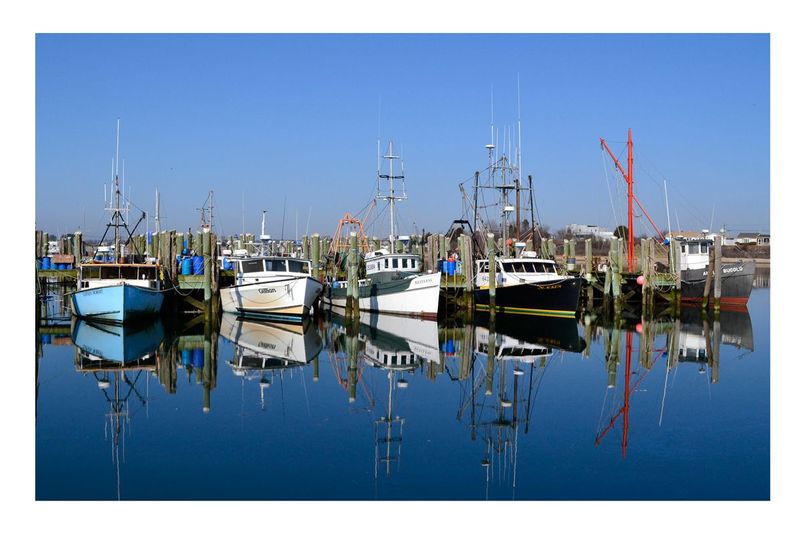 Reflections 5 Boats.jpg