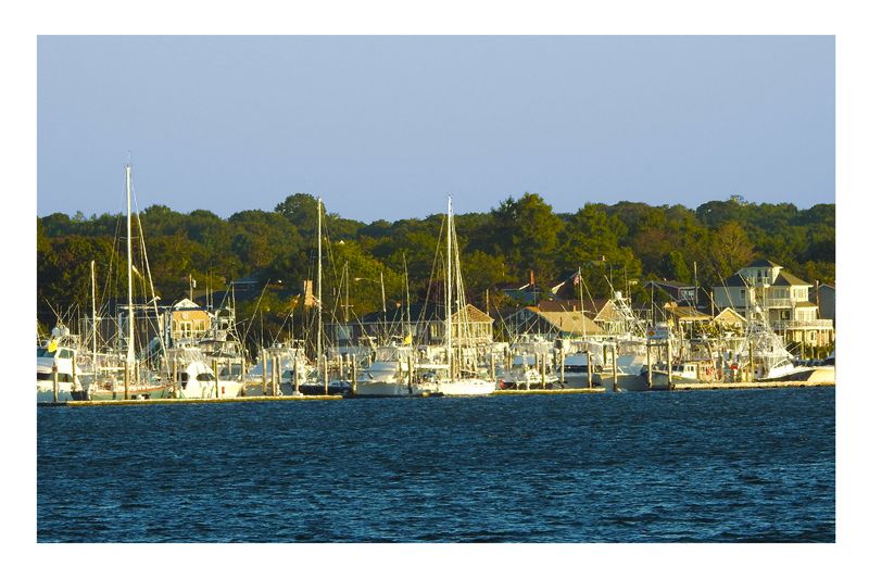 Snug Harbor.jpg